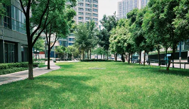 健康咨询服务适用情况检查要点分析